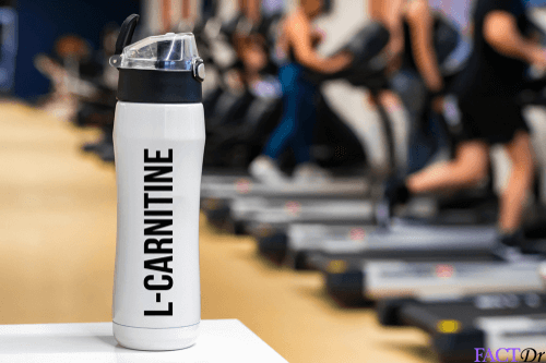 Sports Nutrition — Carnitine